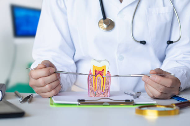 Best Emergency Treatment for Toothache in Lightstreet, PA
